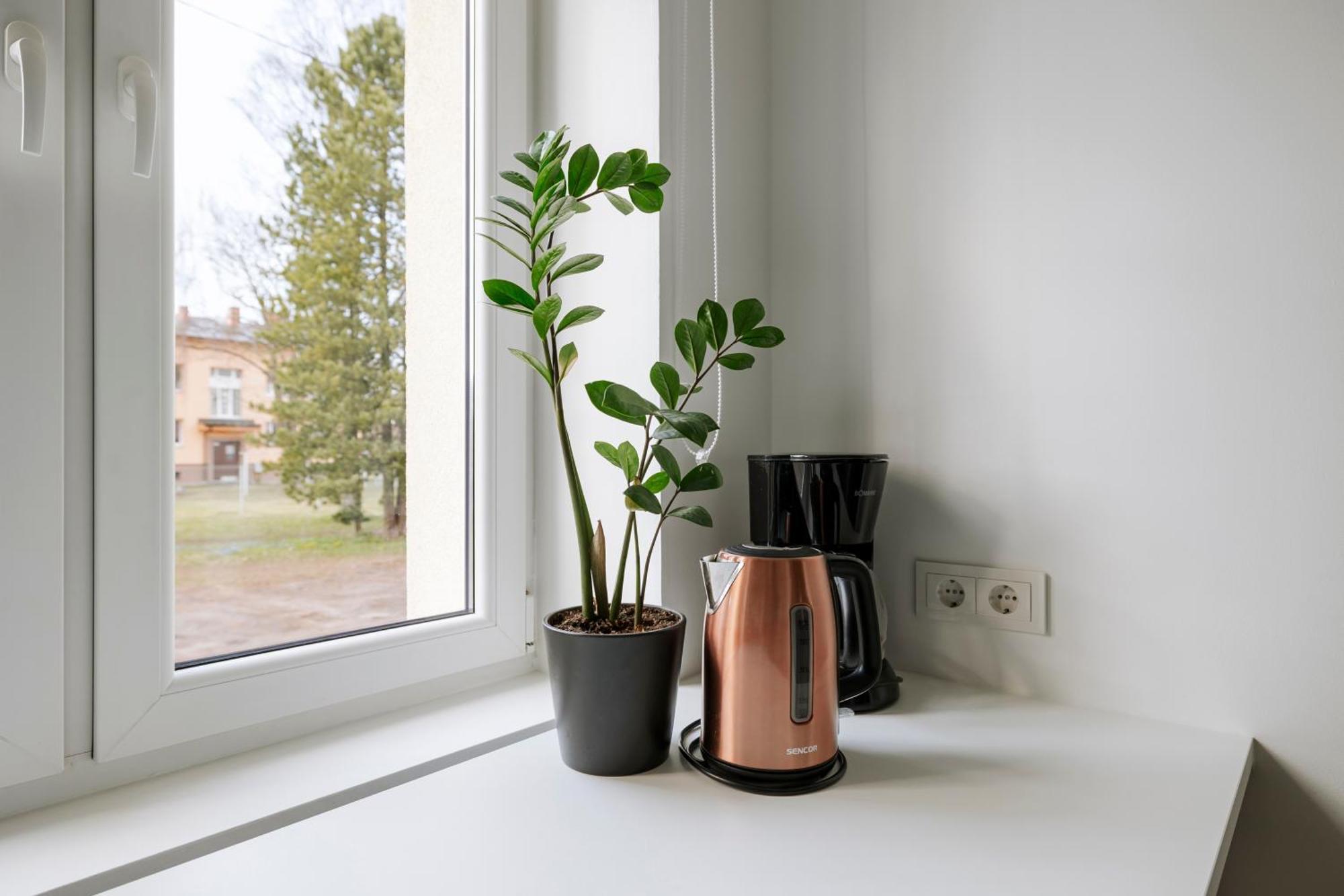 Apartment For Friends & Families Талин Екстериор снимка